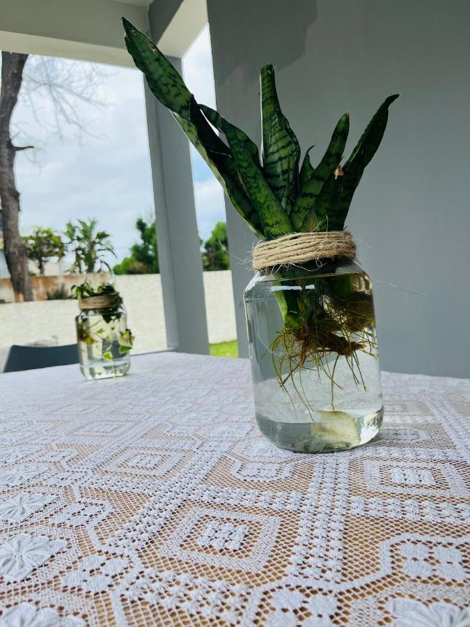 蓬塔杜欧鲁Casa Cinza别墅 外观 照片